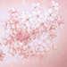 Ayako Tokito Gallery